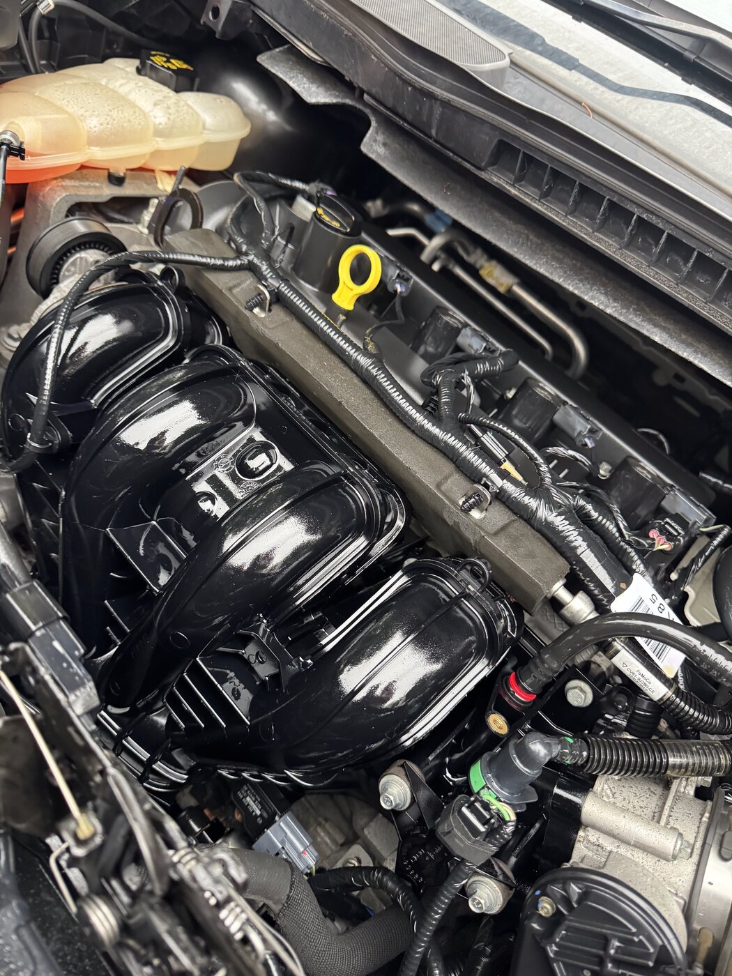 Engine bay detailed to a spotless shine